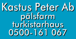 Peter Kastus Ab logo